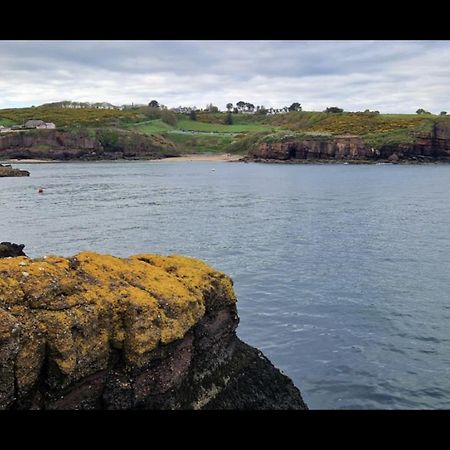 Sandy Cove Dunmore East Eksteriør bilde