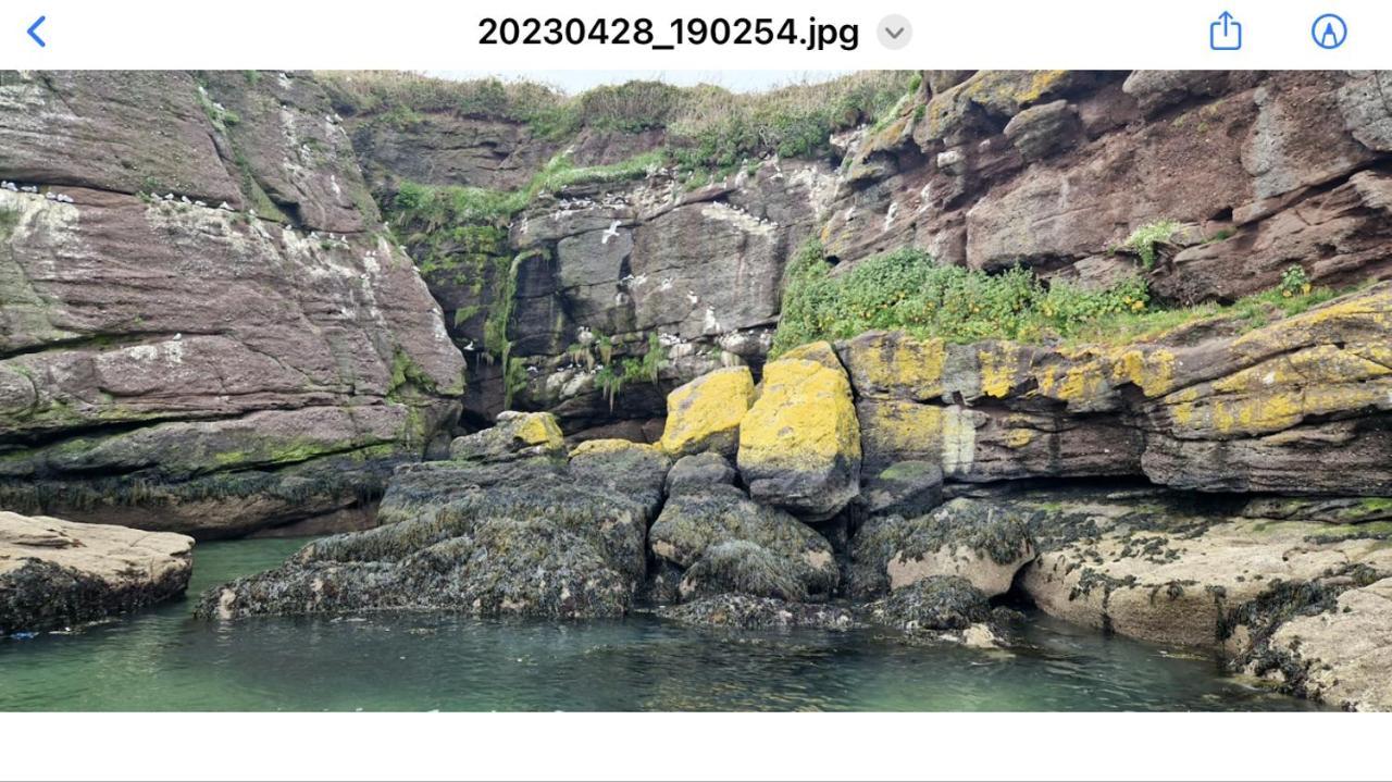 Sandy Cove Dunmore East Eksteriør bilde