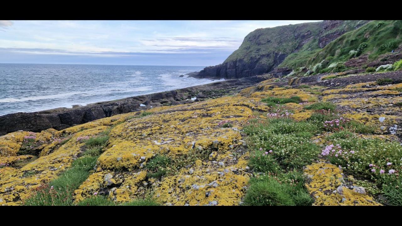 Sandy Cove Dunmore East Eksteriør bilde